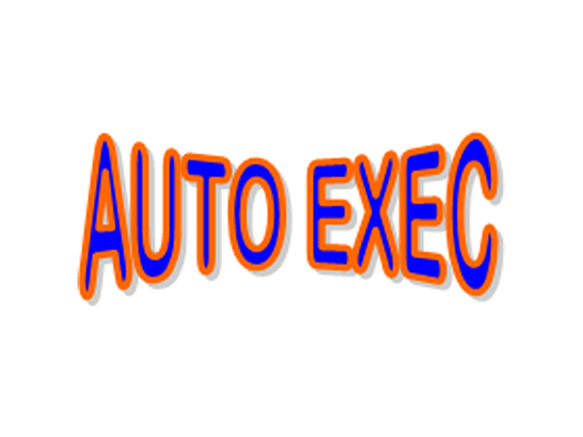 Auto Exec